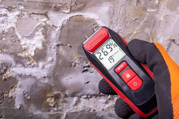 Best Mold Testing and Inspection Services in North Prairie, WI