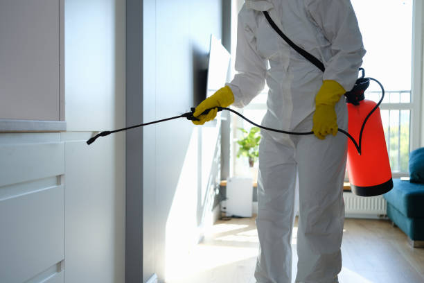 Professional Mold Remediation in North Prairie, WI